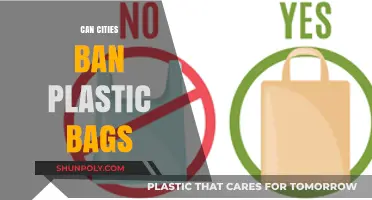 Plastic Bag Bans: Can Cities Make the Switch?