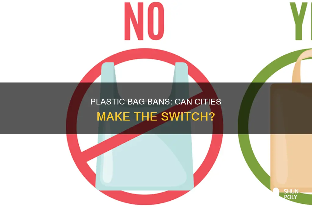 can cities ban plastic bags