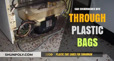 Cockroaches: Plastic Bag Predators?