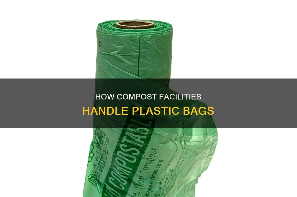can compost facilities sort plastic bags