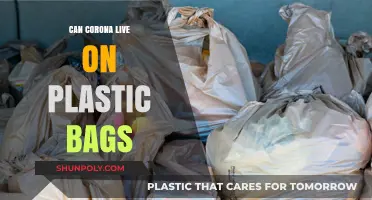 How Long Does COVID-19 Survive on Plastic Bags?