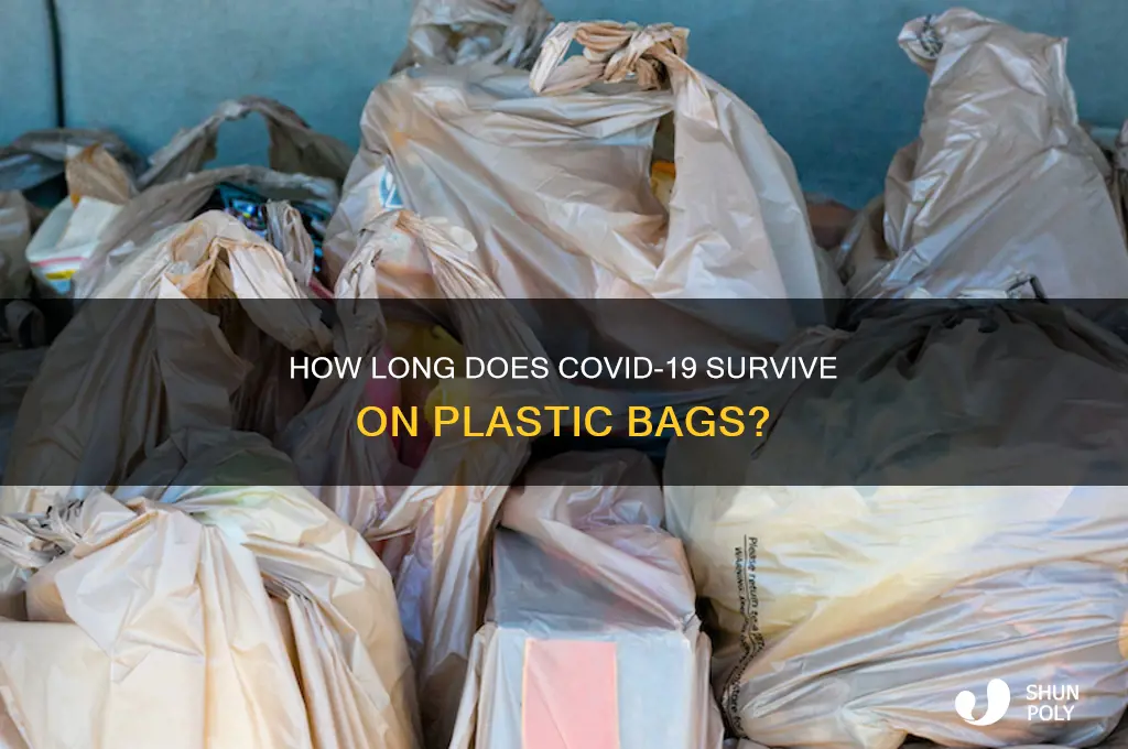 can corona virus live on plastic bags