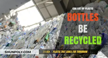 Recycling Cut-Up Plastic Bottles: Eco-Friendly Tips and Best Practices