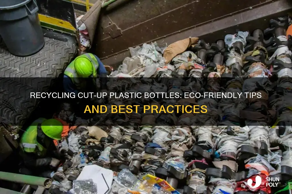 can cut up plastic bottles be recycled
