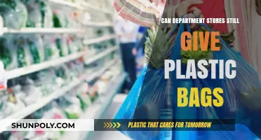 Plastic Bags: Department Stores' Ongoing Environmental Dilemma