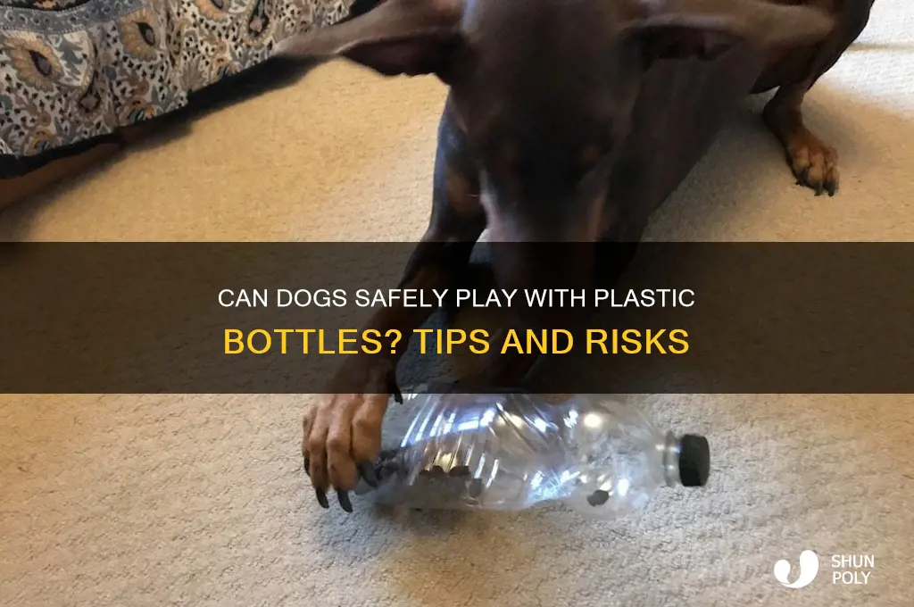 can dog play with plastic bottles