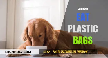 Plastic Bags: Are They Safe for Dogs to Eat?