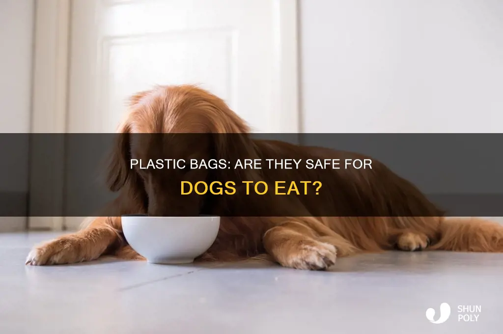 can dogs eat plastic bags