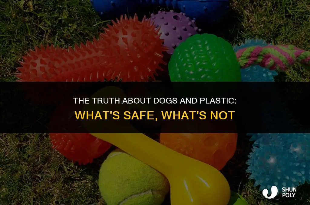 can dogs eat plastic