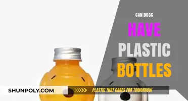 Can Dogs Safely Chew or Play with Plastic Bottles?