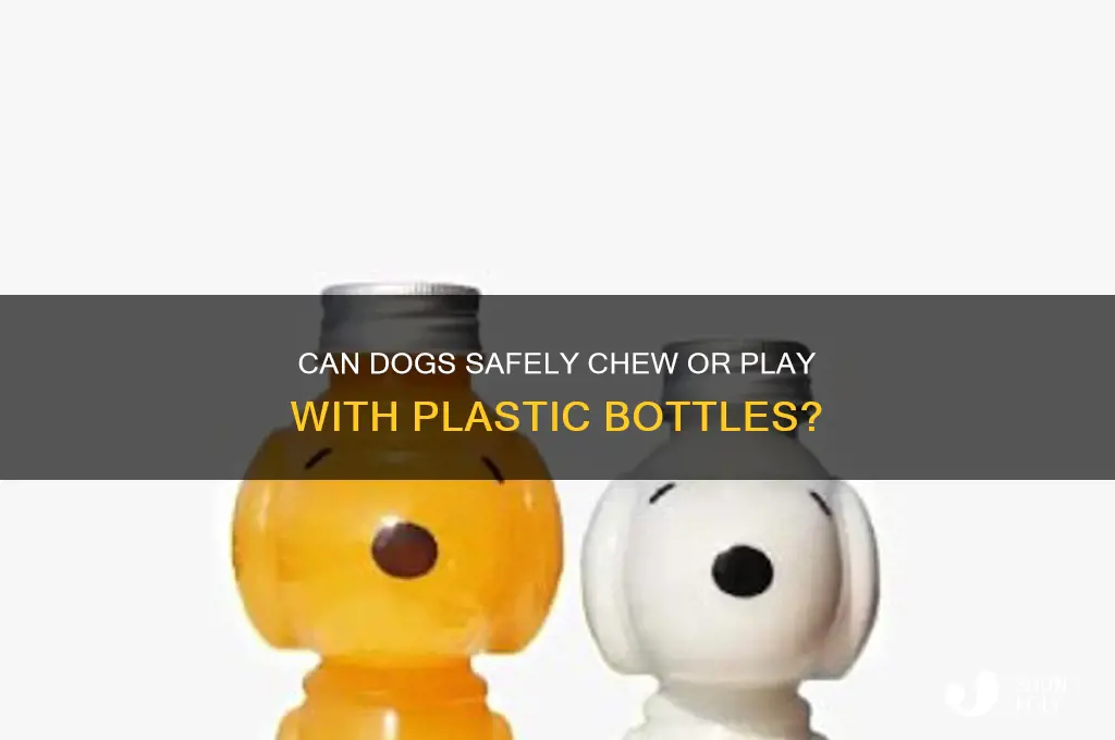 can dogs have plastic bottles