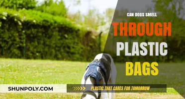 How Dogs' Super-Sniffers Work: Plastic Bags Edition