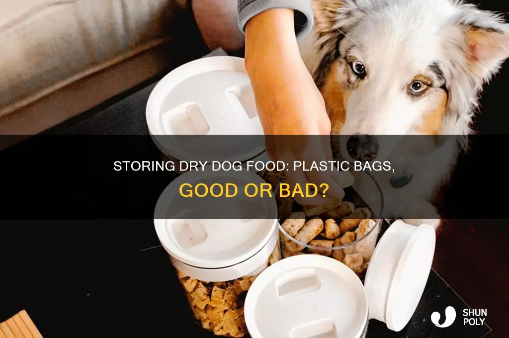 can dry dog food be stored in plastic bags