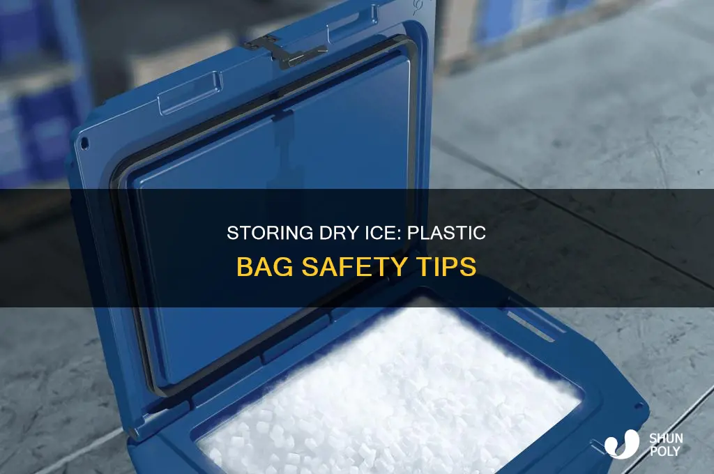 can dry ice be stored in a plastic bag