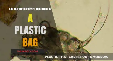 Ear Mites: Can They Survive in Bedding Stored in Plastic Bags?