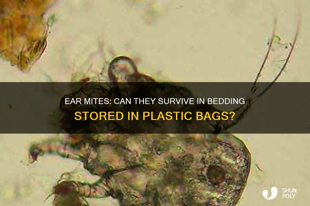 can ear mites survive on bedding in a plastic bag