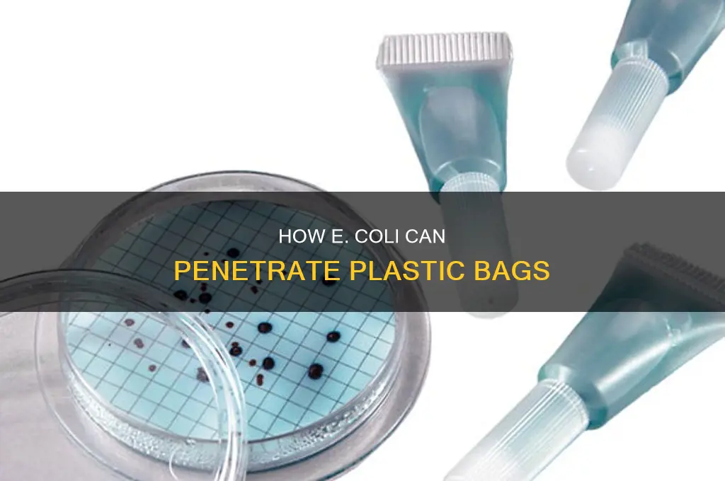 can ecoli go through plastic bag