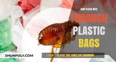Fleas and Plastic Bags: Are Your Belongings Safe?