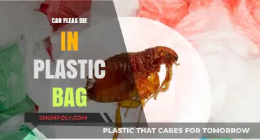 Fleas: Plastic Bag Suffocation Method