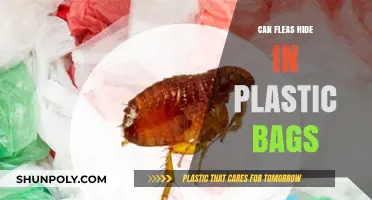 Plastic Bags: A Safe Haven for Fleas?