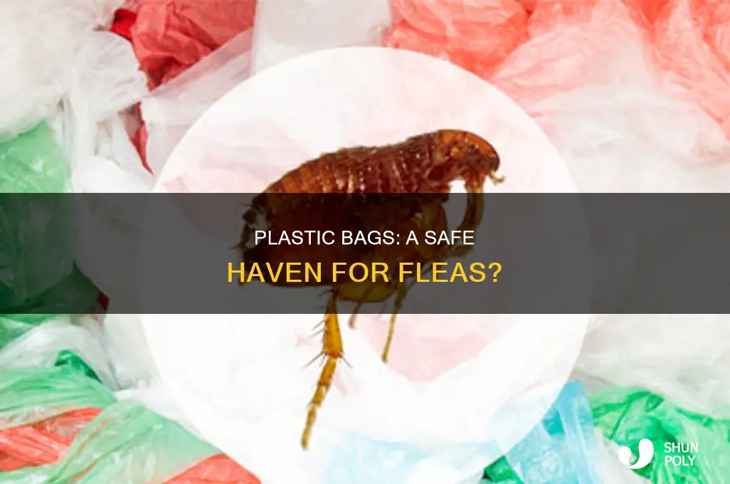 can fleas hide in plastic bags