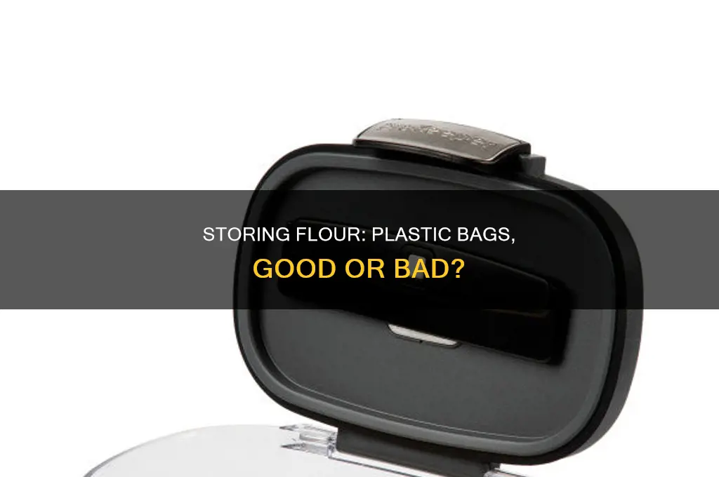can flour be stored in plastic bags