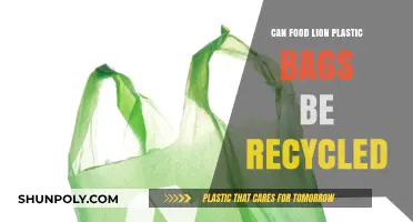 Where Do Food Lion Plastic Bags Go?