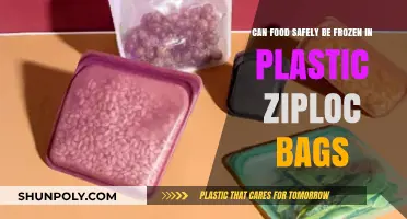 Freezing Food: Ziploc Bags, Safe?