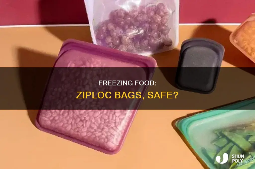 can food safely be frozen in plastic ziploc bags