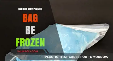 Freezing Groceries: Plastic Bags Do's and Don'ts