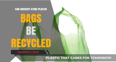 Recycling Plastic Bags: Are They Really Eco-Friendly?