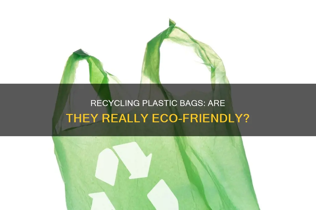 can grocery store plastic bags be recycled