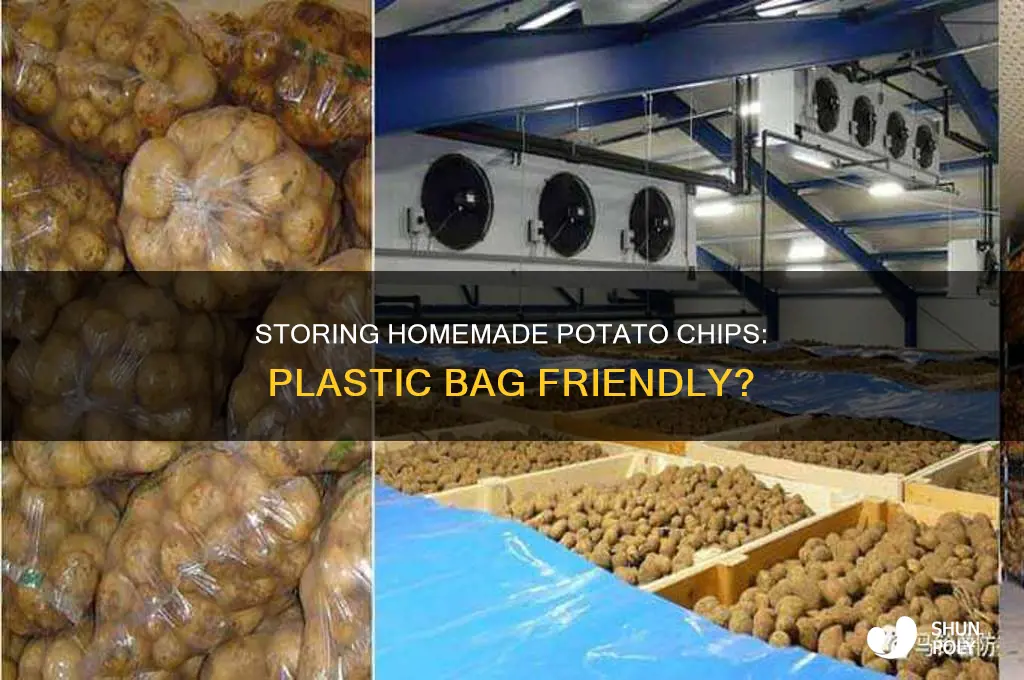can homemade potato chips be kept in plastic bags