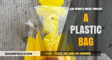 Hornets and Plastic: What's the Sting?