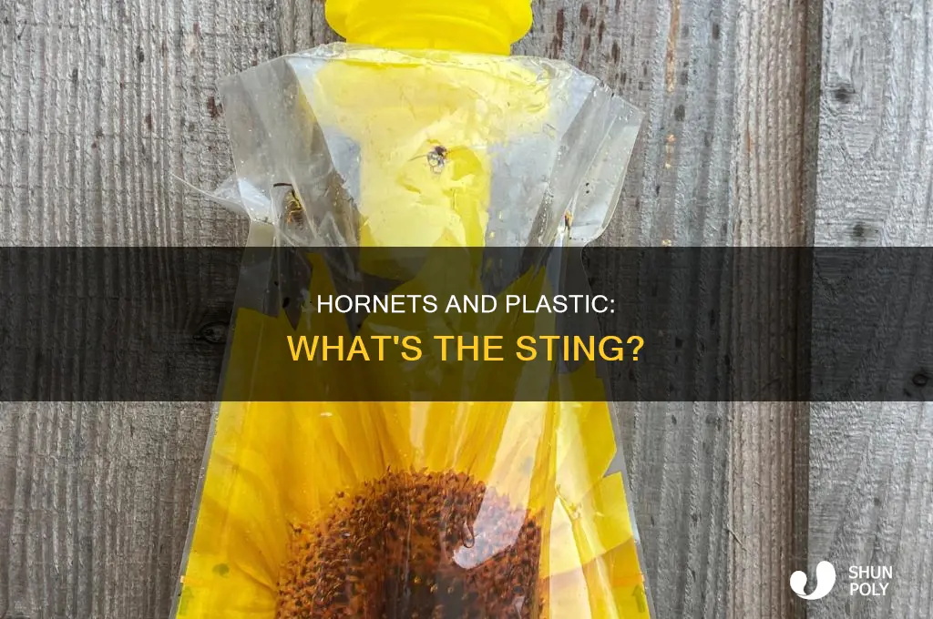 can hornets break through a plastic bag