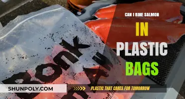Salmon Storage: Plastic Bags, Safe or Not?