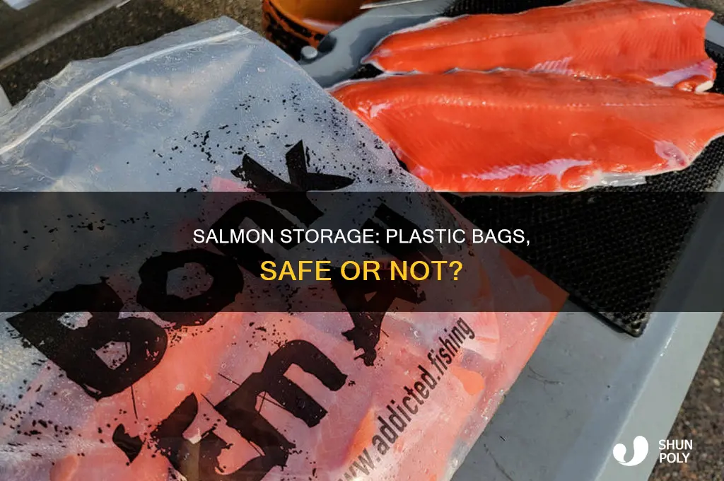 can i bine salmon in plastic bags