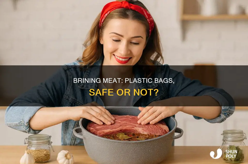 can i brine in any plastic garbage bag