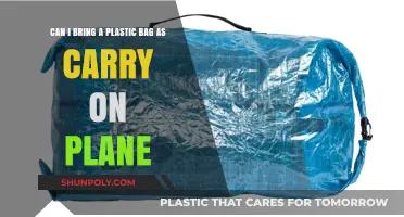 Plastic Bags: What Can I Bring on a Plane?