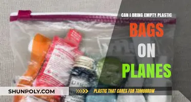 Plastic Bags on Planes: What You Can Bring