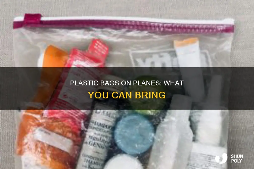 can i bring empty plastic bags on planes