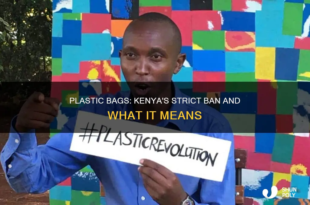 can i bring plastic bags into kenya