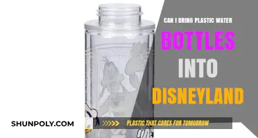 Disneyland's Plastic Bottle Policy: What You Need to Know