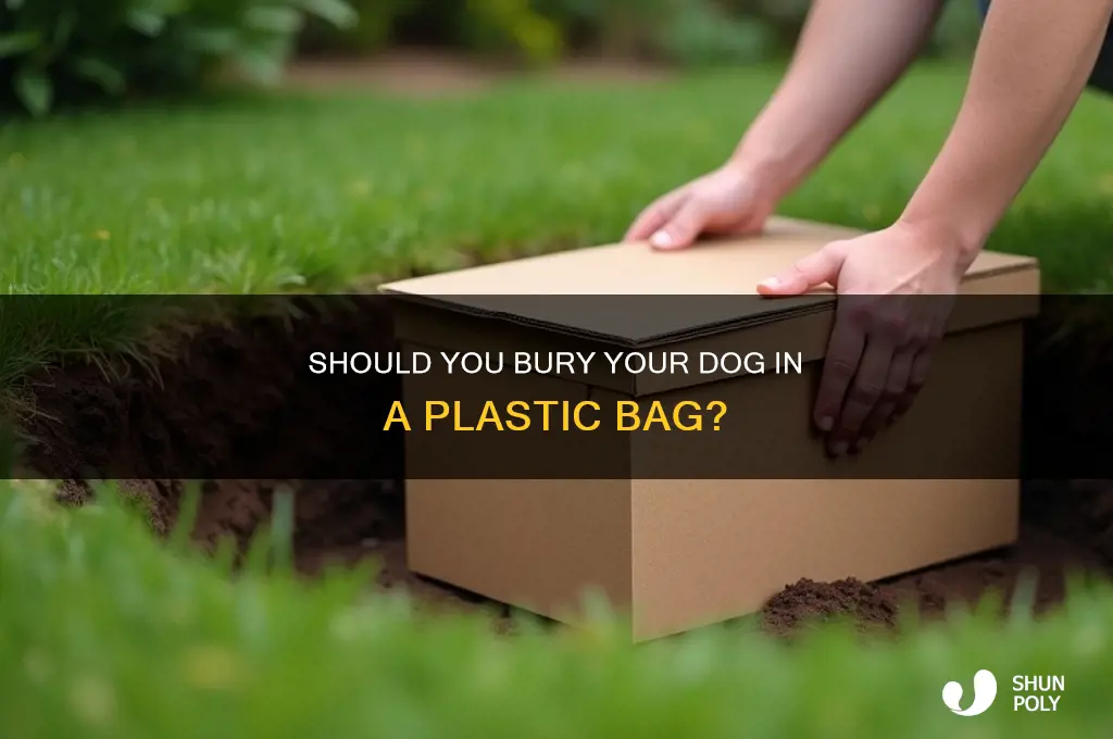 can i bury my dog in a plastic bag