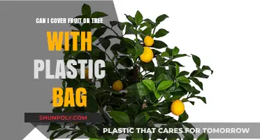 Protecting Fruit Trees: Plastic Bag Hack
