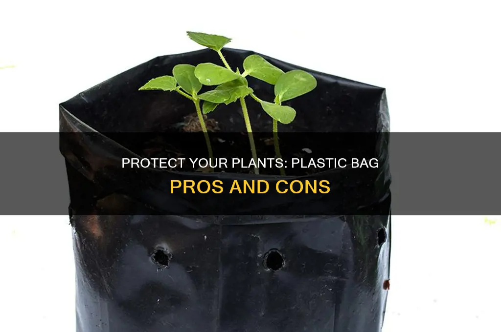 can i cover my plants with plastic bags
