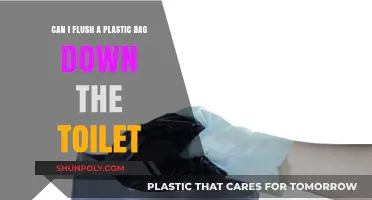 Toilets and Plastic Bags: A Dangerous Mix
