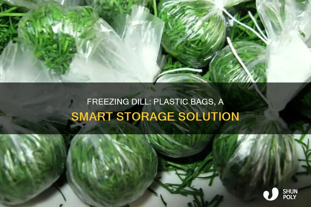 can i freeze dill in plastic bags
