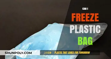 Freezing Food in Plastic Bags: Is It Safe?