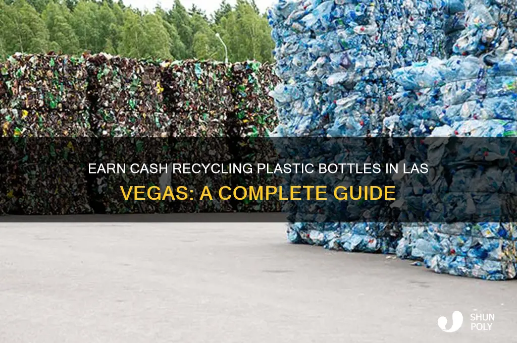 can i get money for recycle plastic bottles las vegas